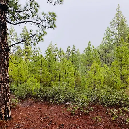 Loft El Patio * Los Llanos De Aridane